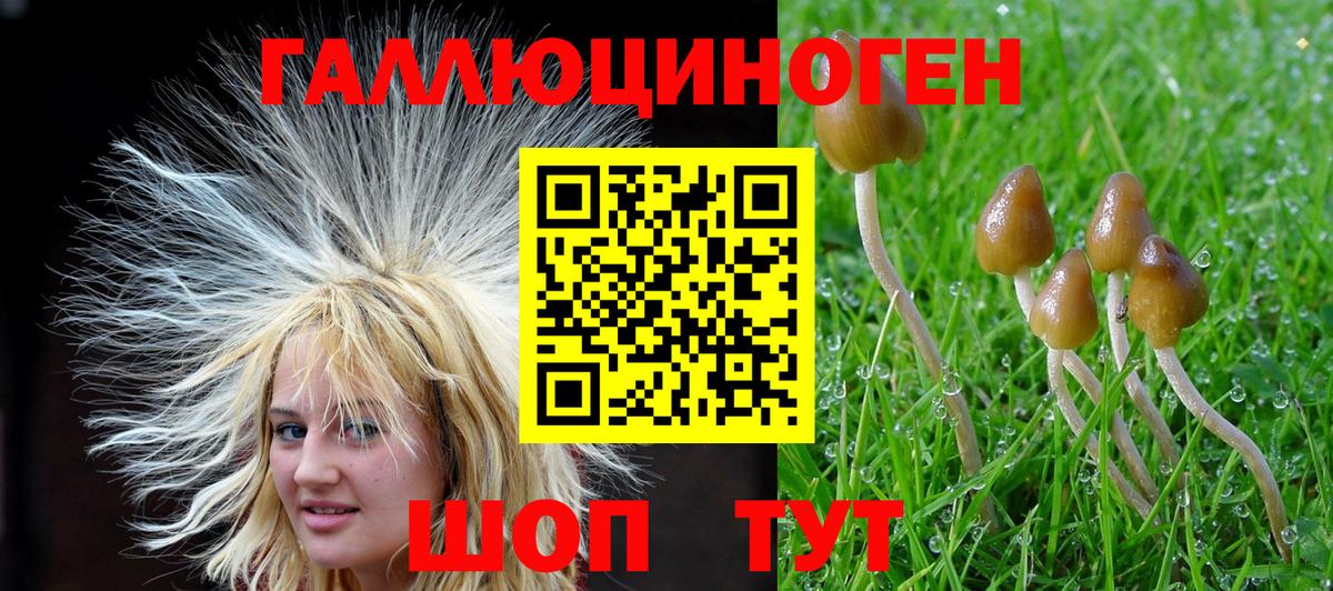 Псилоцибиновые грибы прущие грибы Чехов