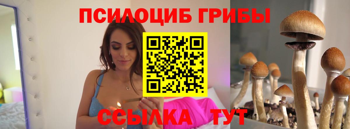 Псилоцибиновые грибы Psilocybine cubensis  Вход с VPN  Псилоцибиновые грибы Psilocybine cubensis  Чехов 